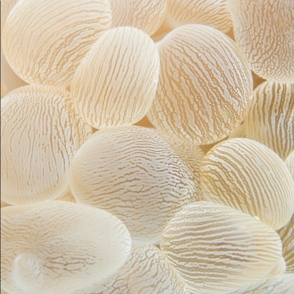 Meet your Posher, Payton